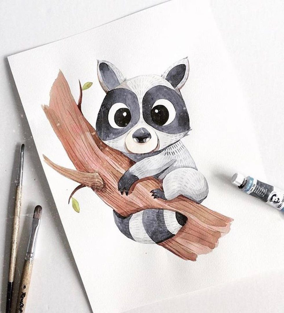 Енот акварельными карандашами