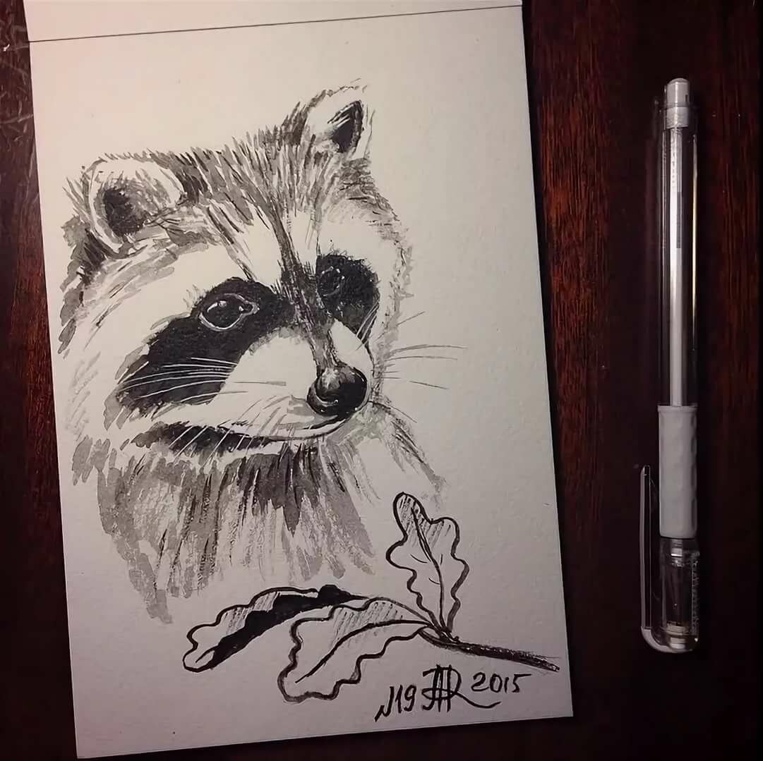 Енот с сердечком