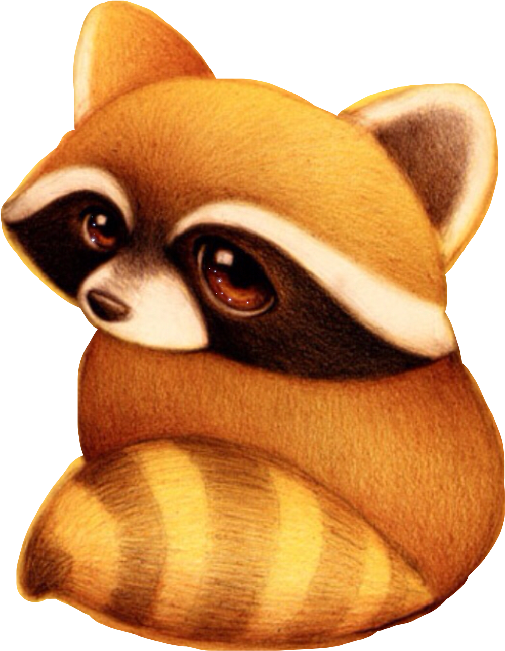 Енот цветными карандашами