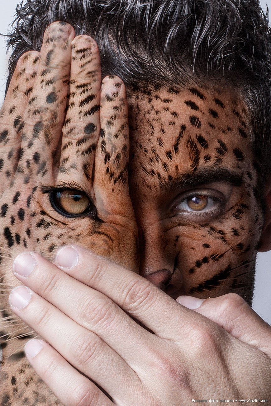 Человек и животное