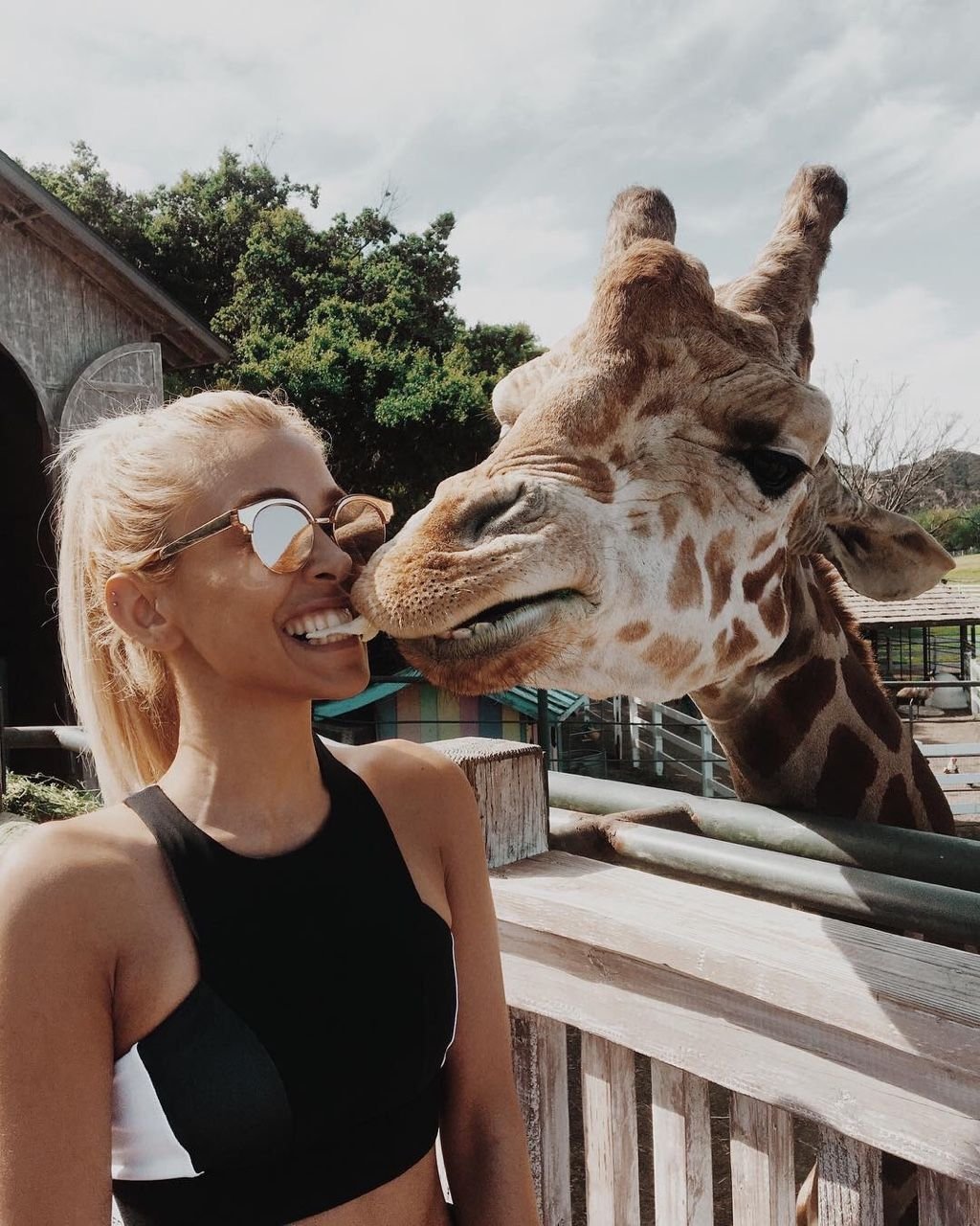 Селфи с жирафом