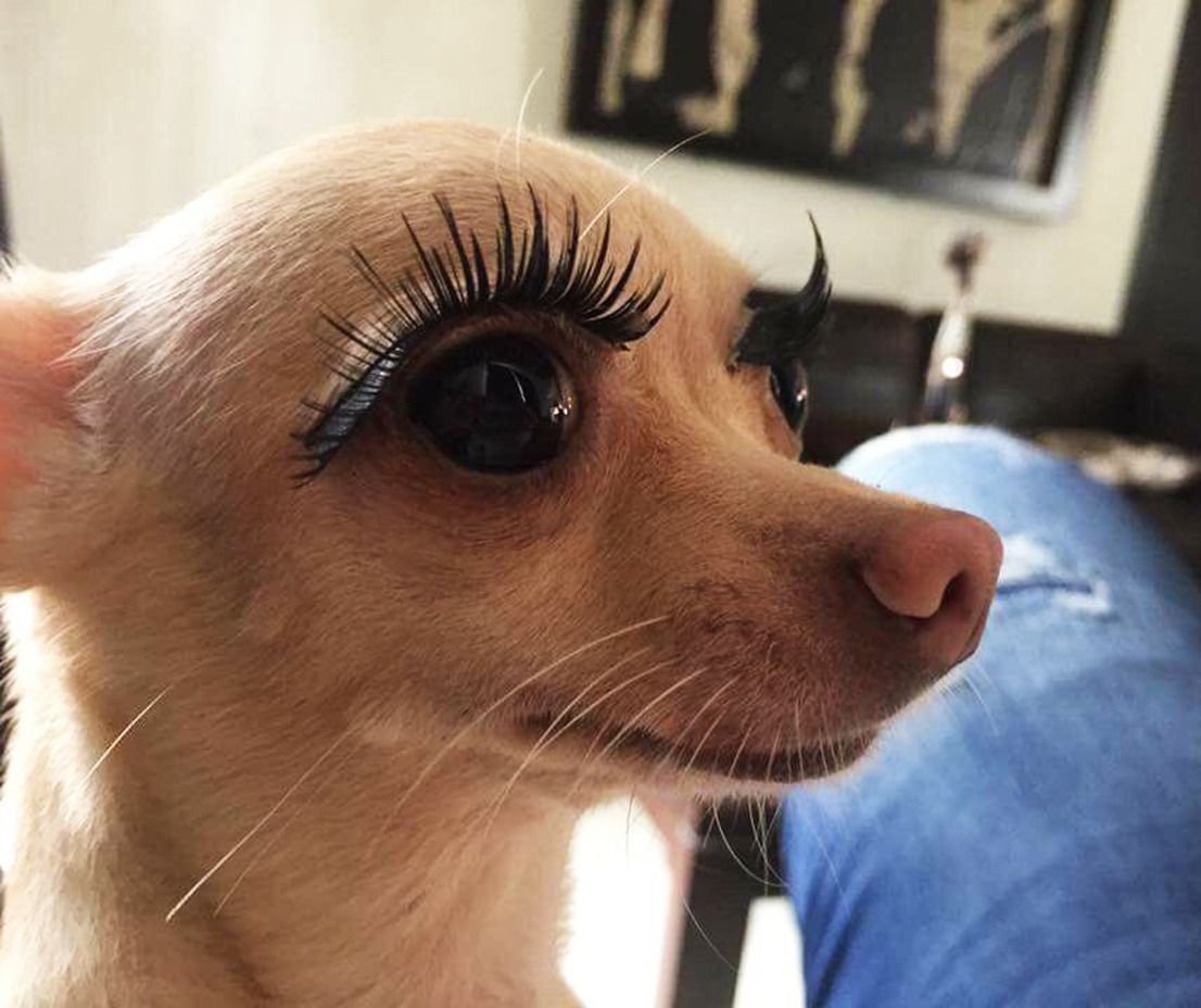 Приколы про ресницы