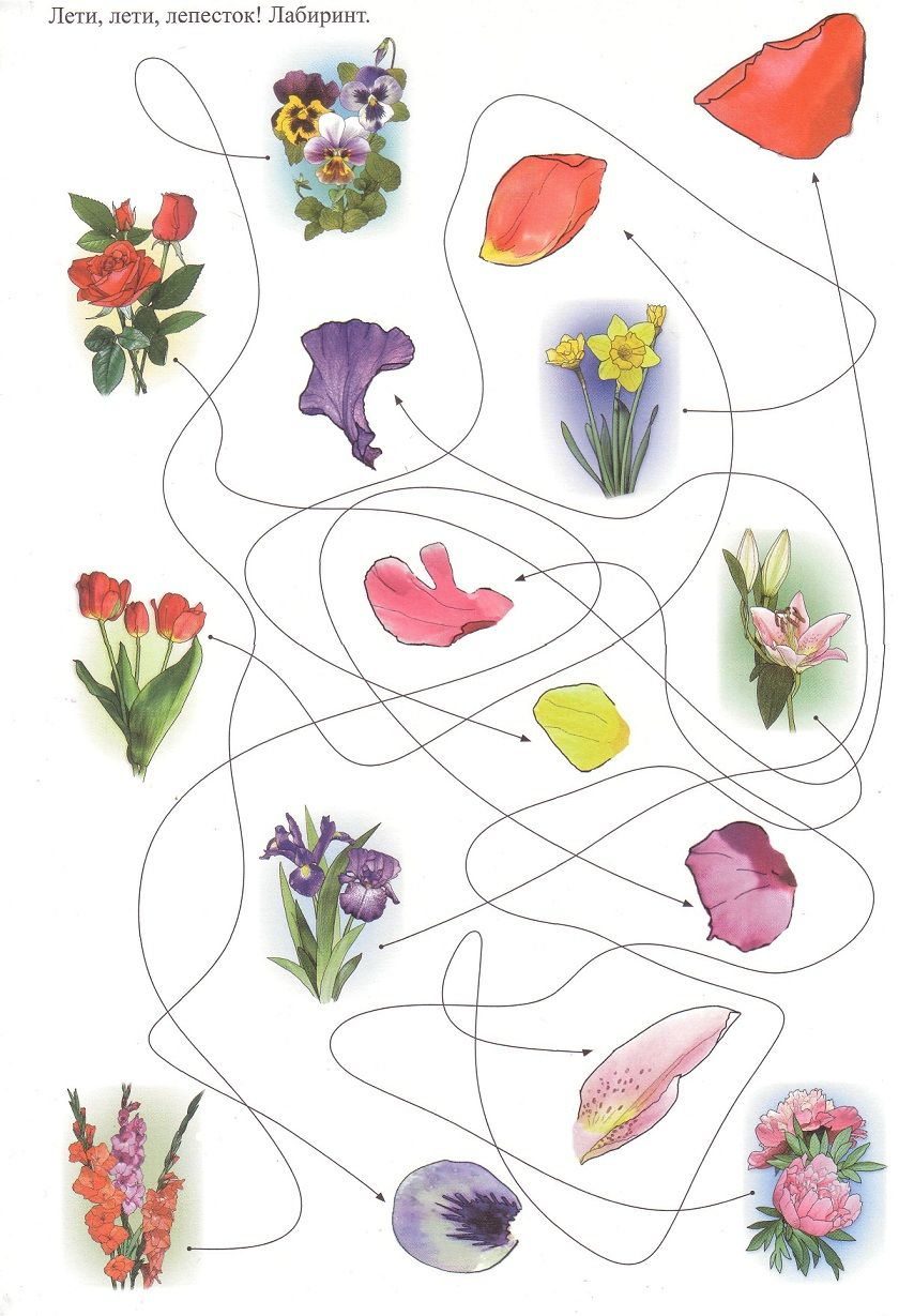 Цветы карточки для детей