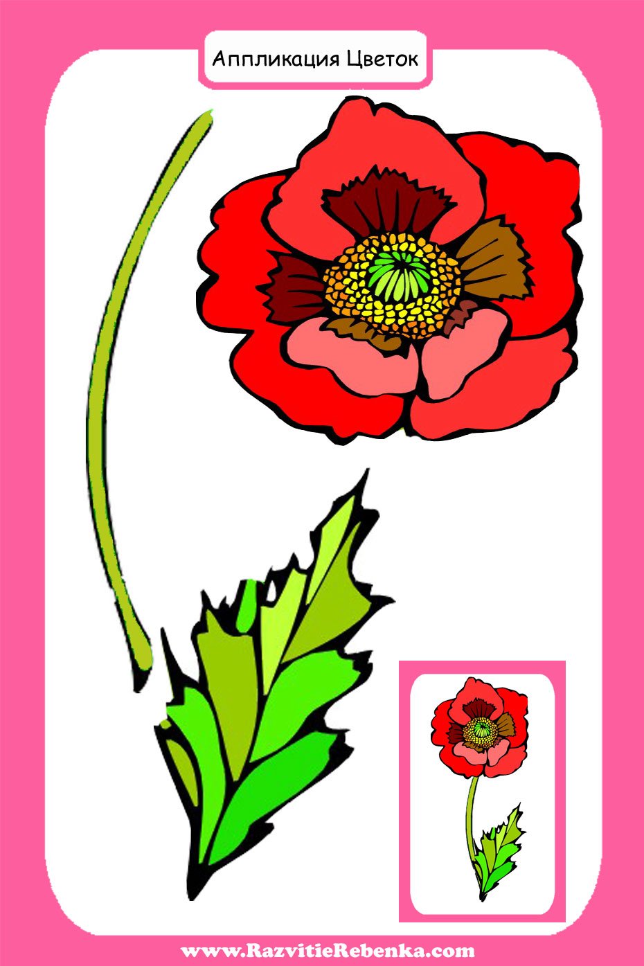 Цветы карточки для детей