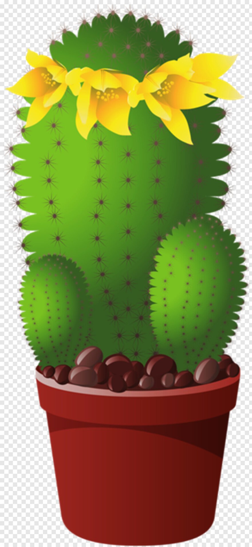 Разрезные картинки комнатные растения