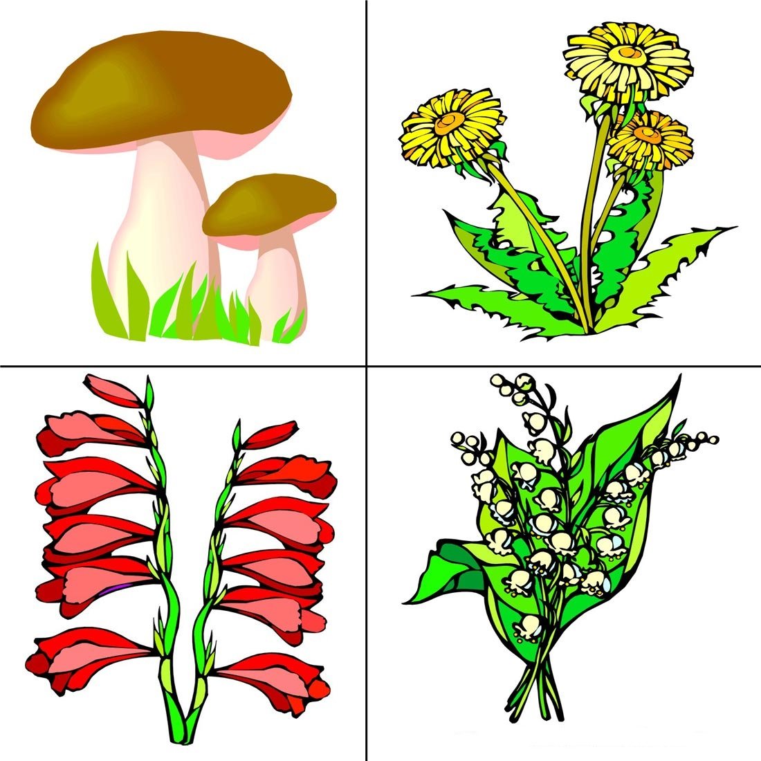 Алгоритм посадки растения для детей
