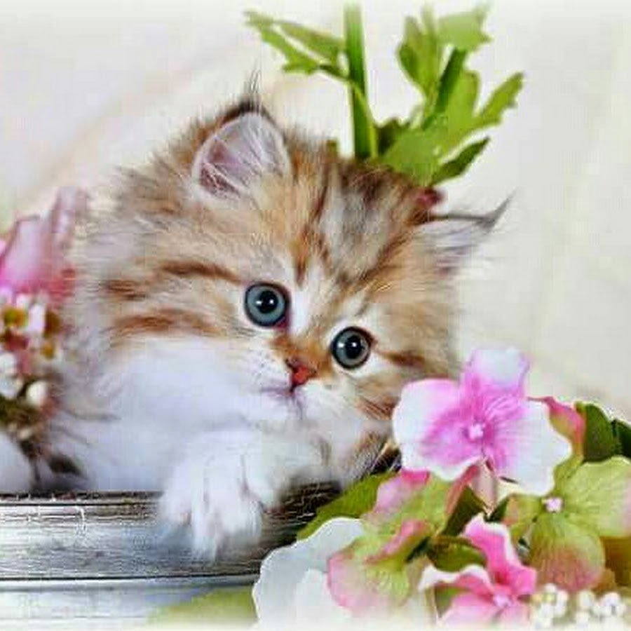 Теплый привет