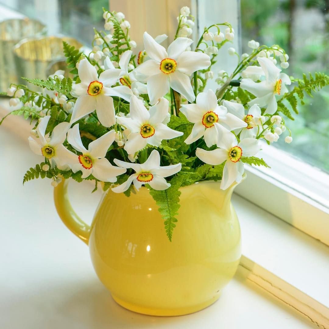 Доброе утро Светлана Попова