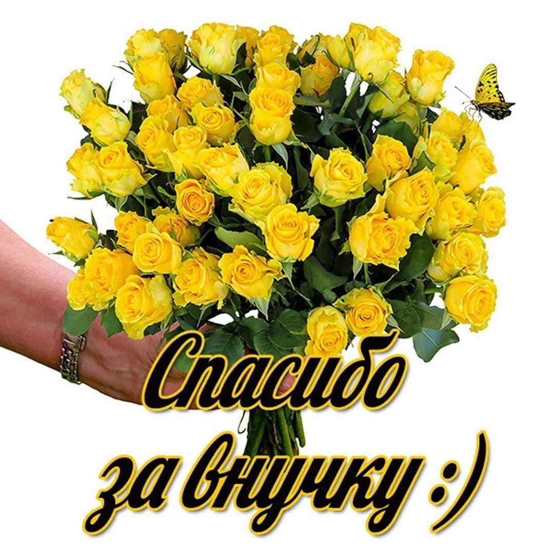 Любимой внучке от бабушки