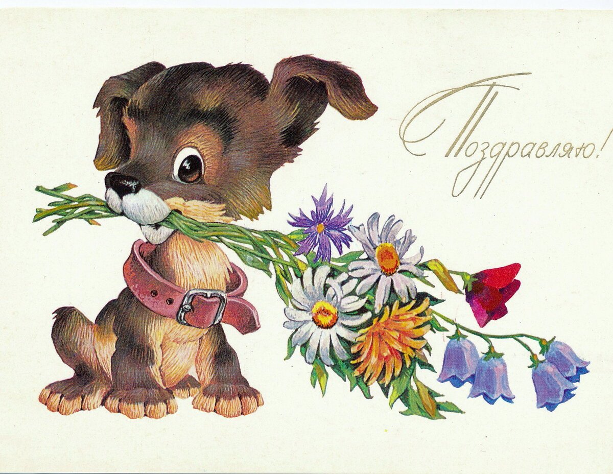 Поздравление с рождением внука