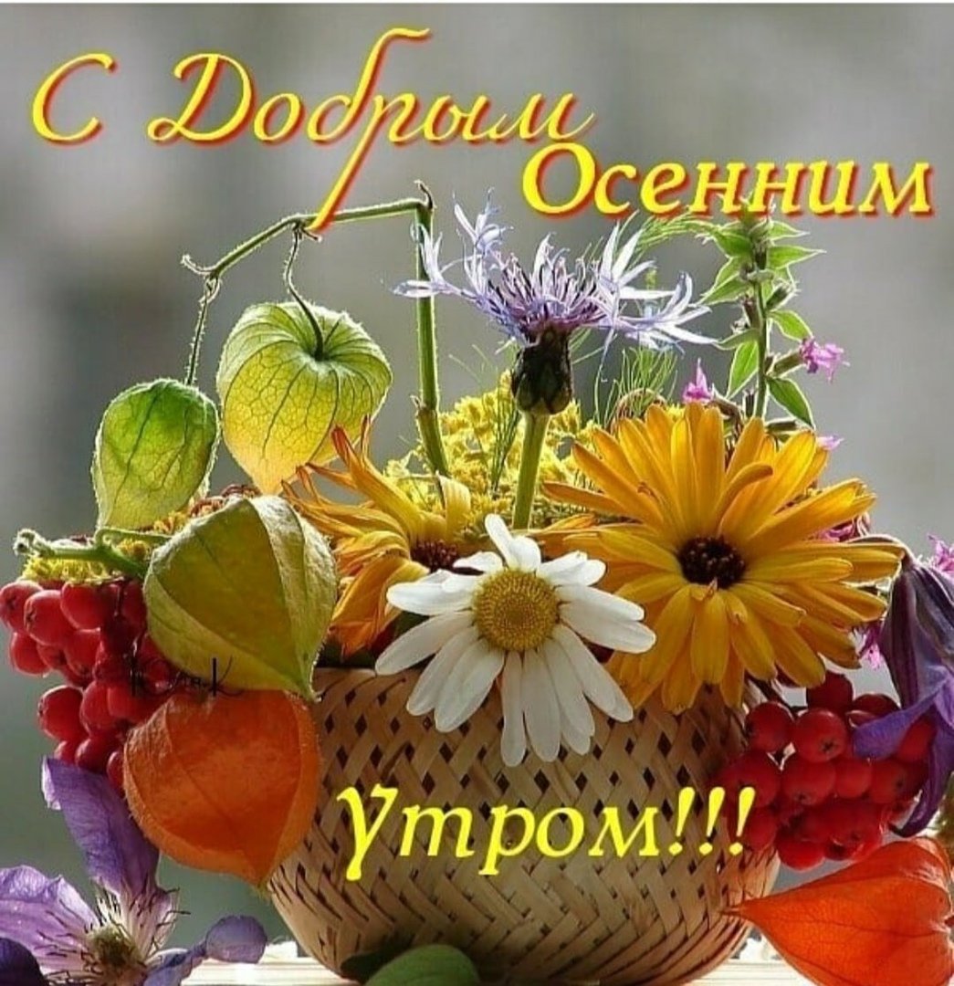 Открытки с пожеланиями доброго утра и здоровья