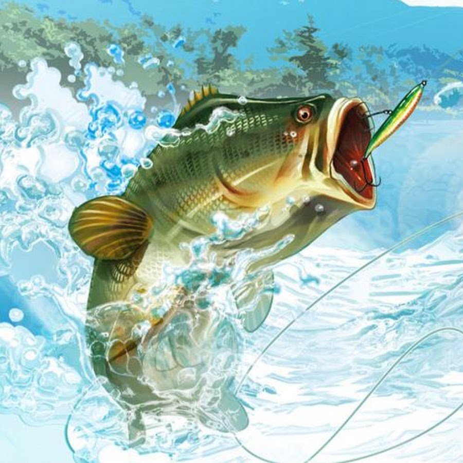 Авы для рыбаков