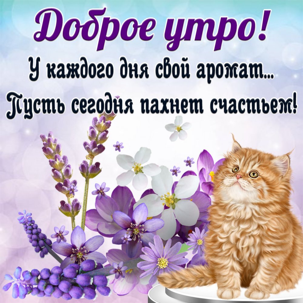 Доброе утро пожелания Мотивационные