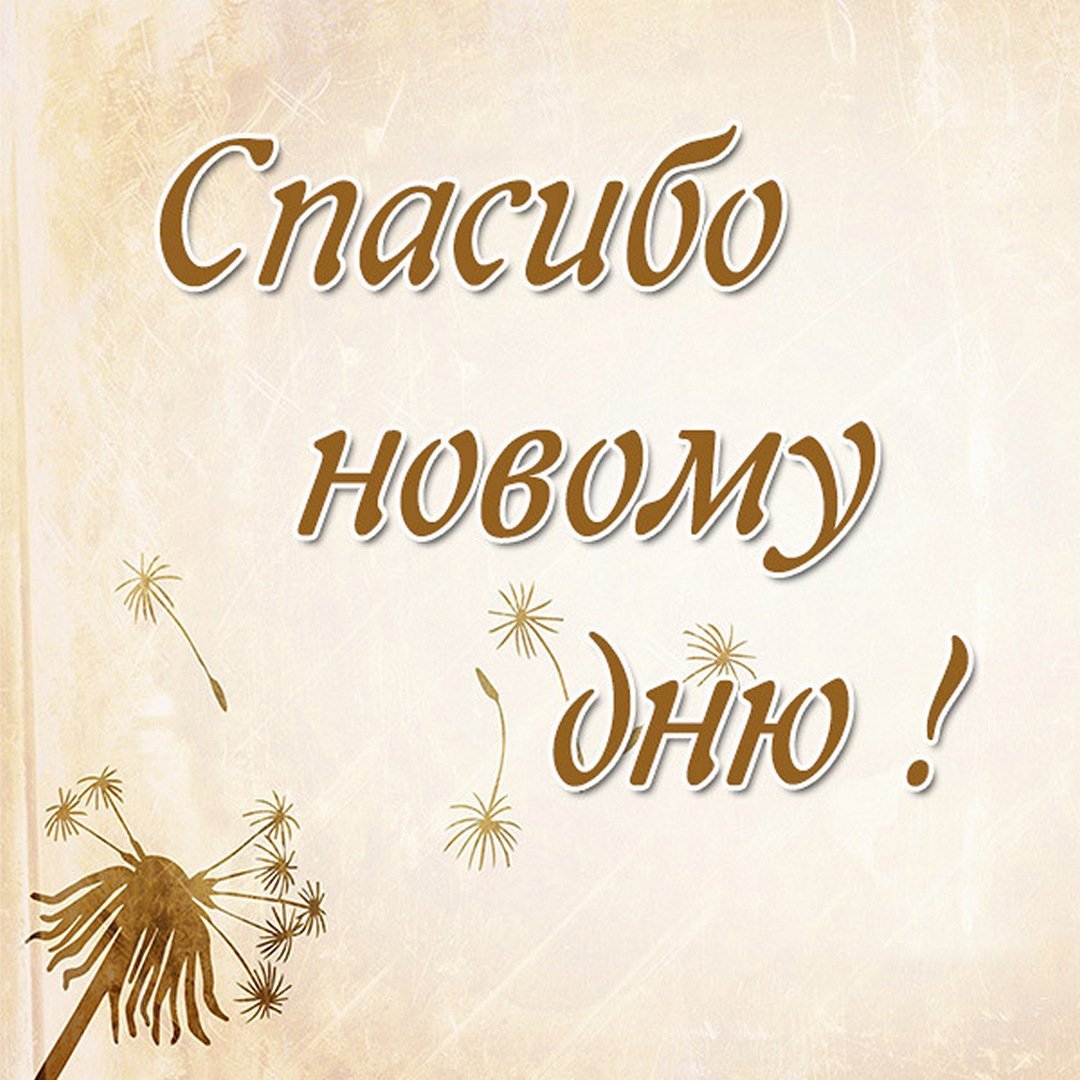 Открытка благодарность новому Дню