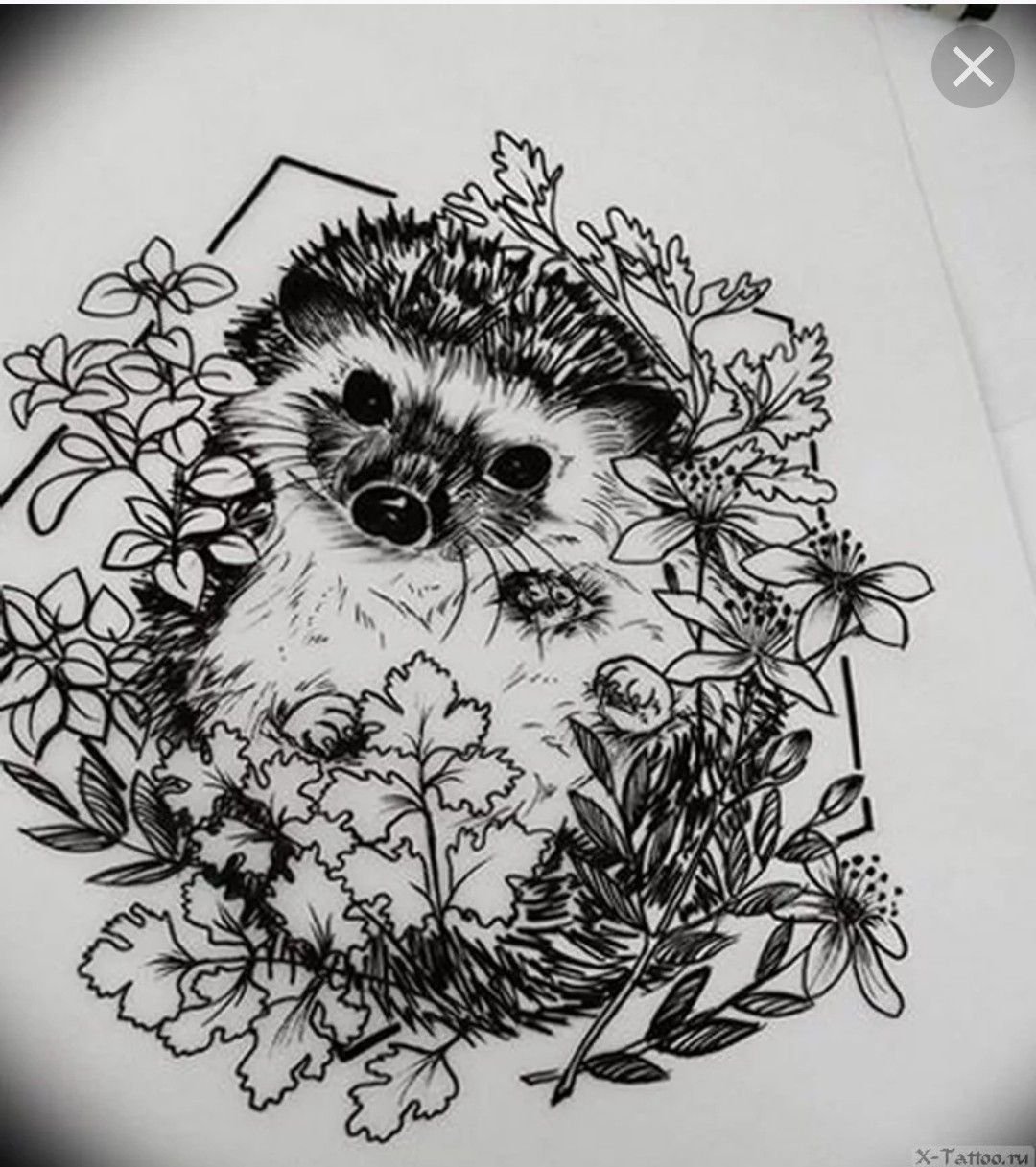 Тату эскизы Ежи