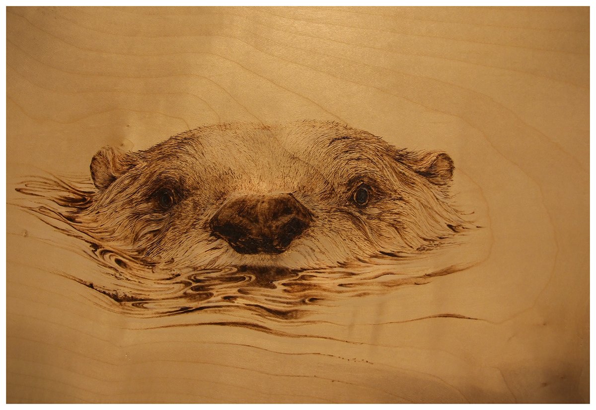 Выжигание по дереву бобры