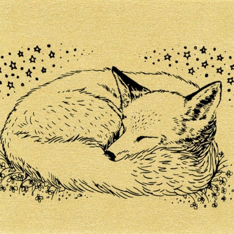 Лисенок спит рисунок