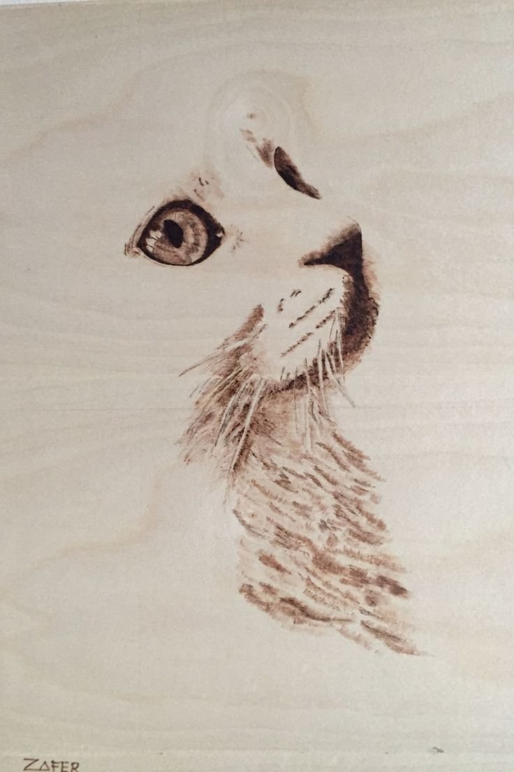 Кошка для выжигания