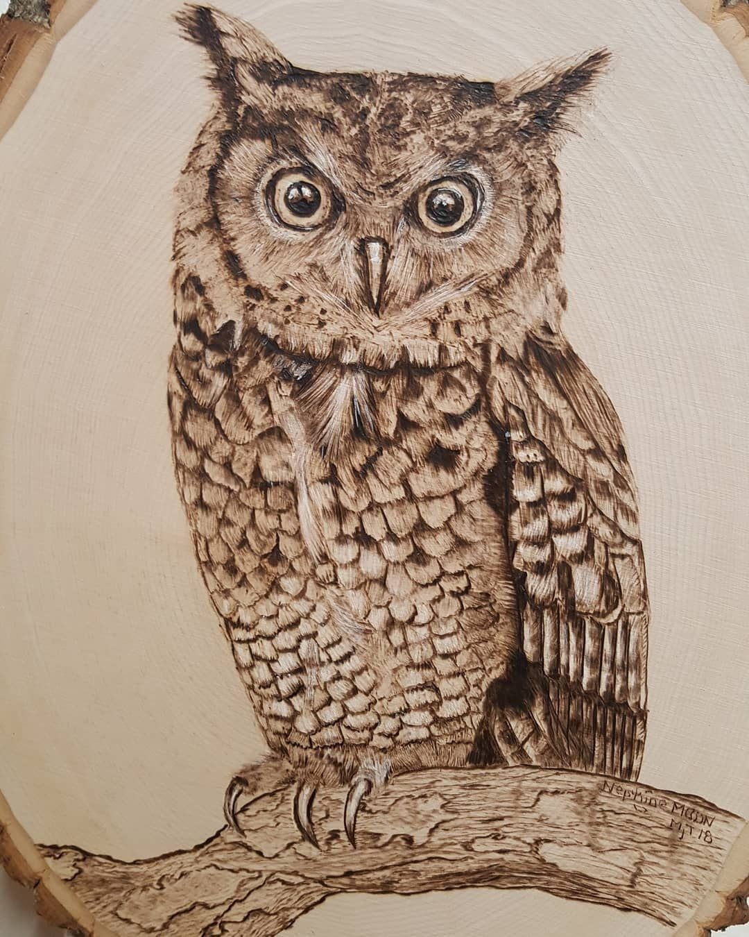 Пирография птицы Сова