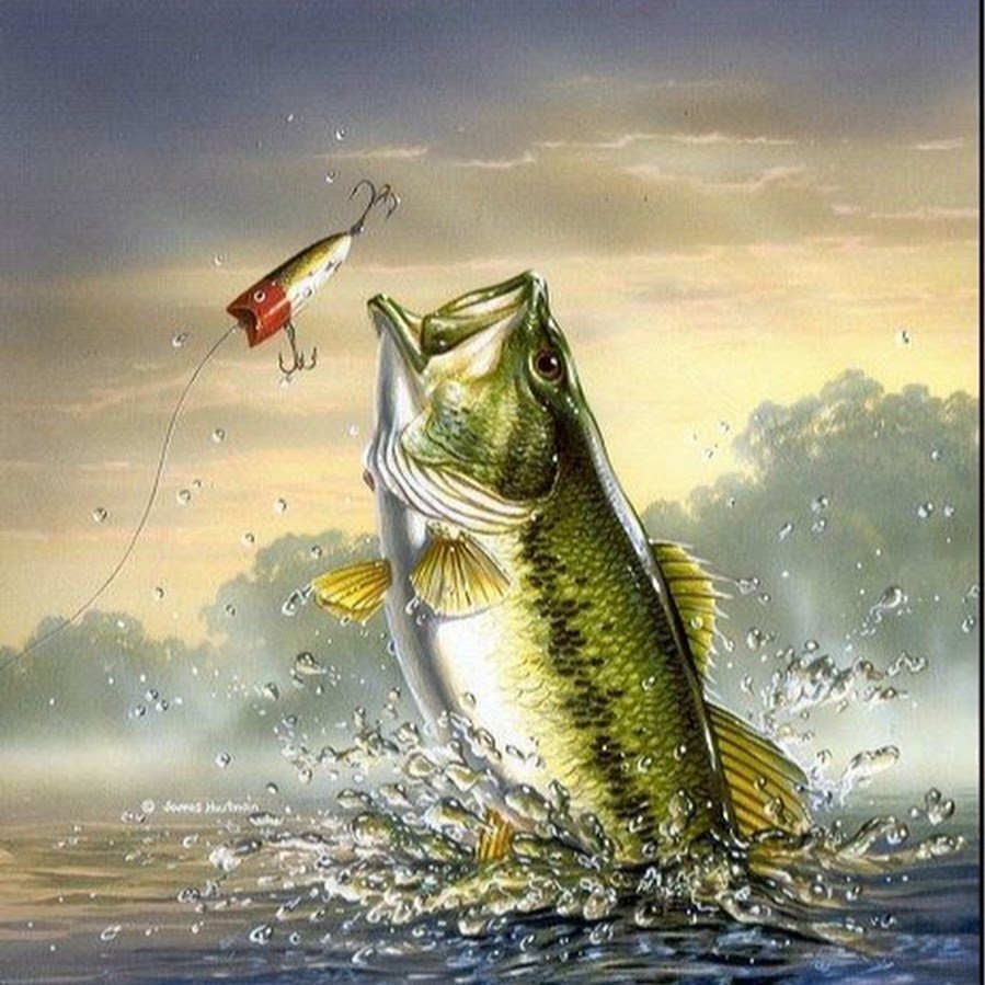 Картина Рыбак