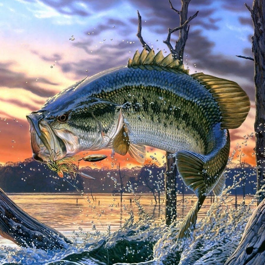 Ал Агнев картины с рыбами