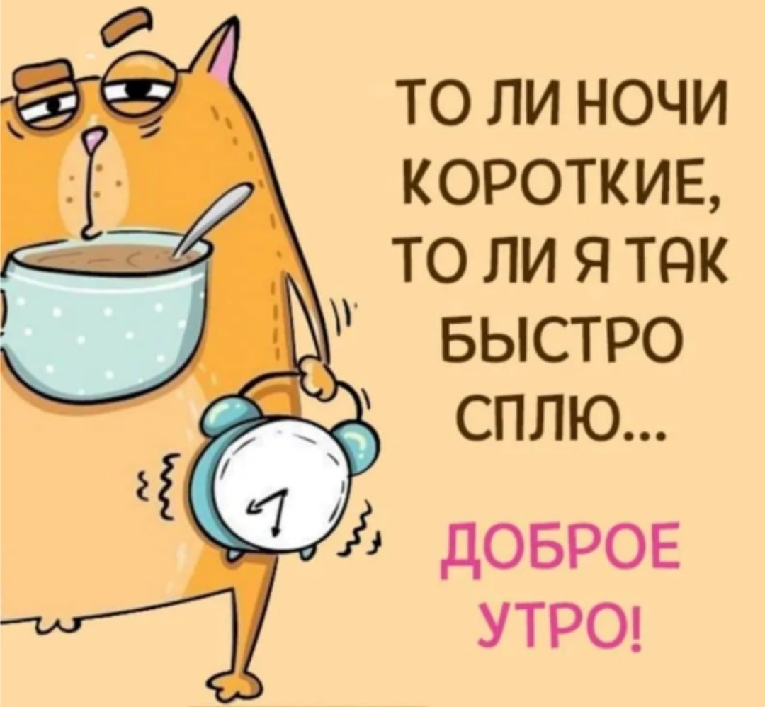 Доброе утро юмор