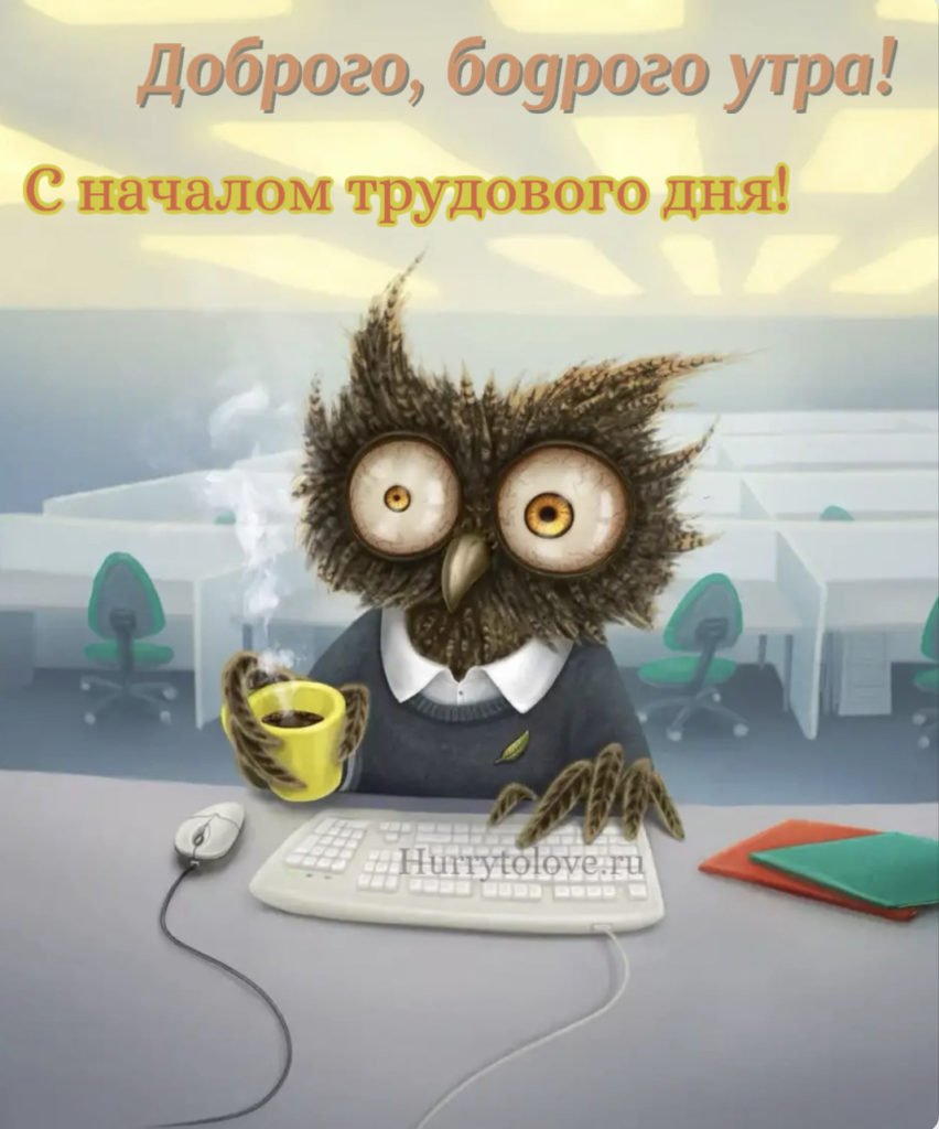 Доброе утро невыспавшиеся люди