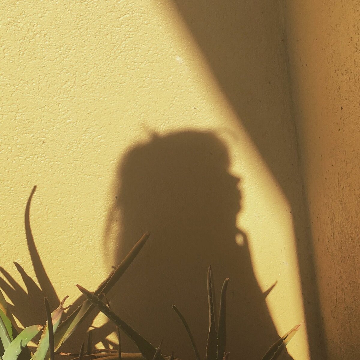 Тень Эстетика