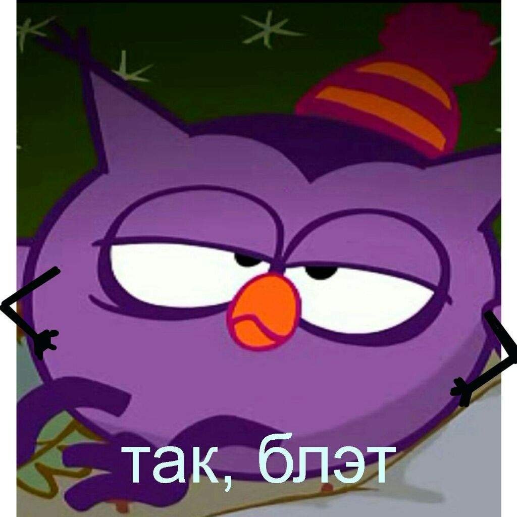 Смешная Совунья