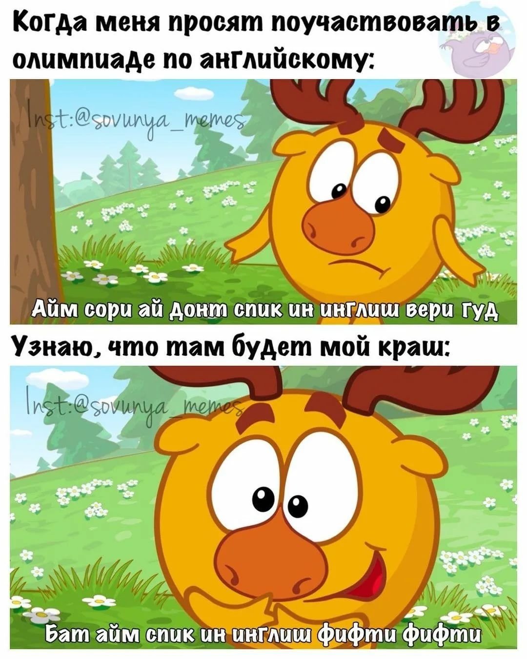 Мемы от Совуньи