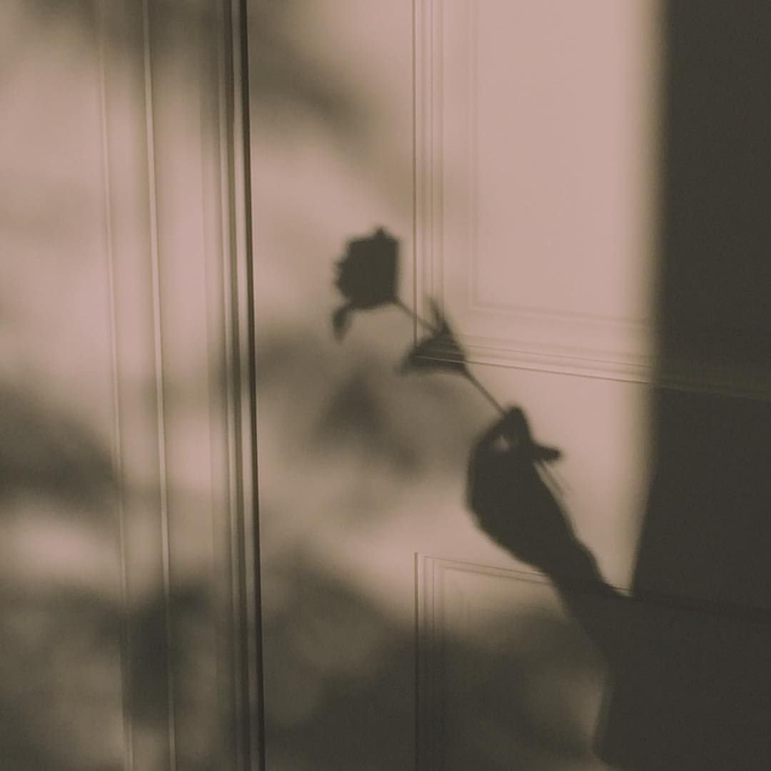 Тень дечувшки на стене
