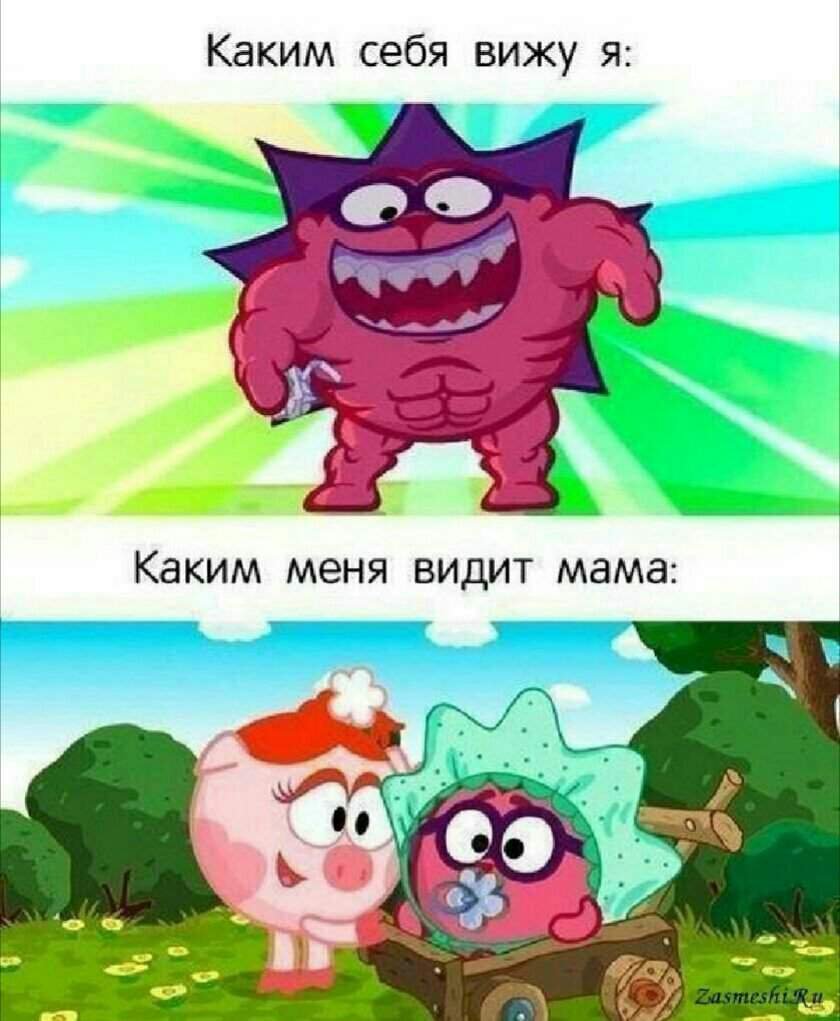 Смешарики приколы