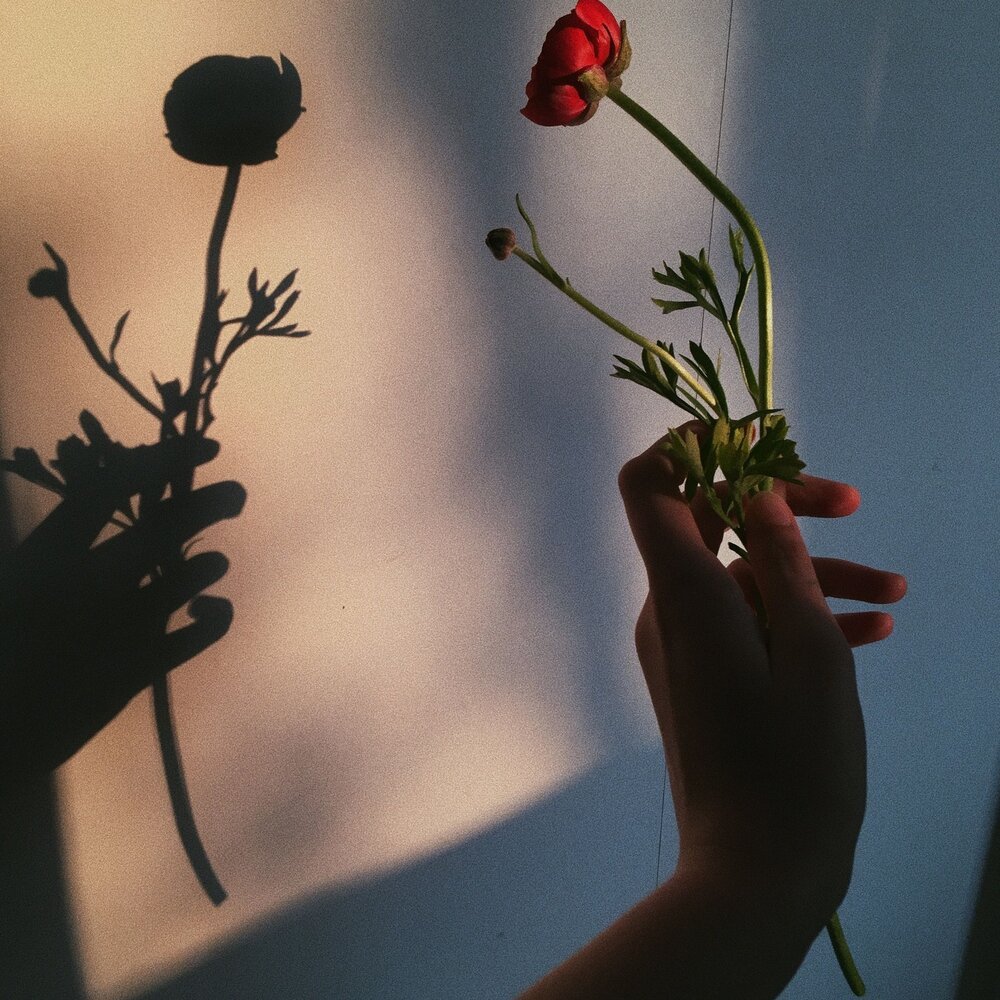 Тень девушки на стене