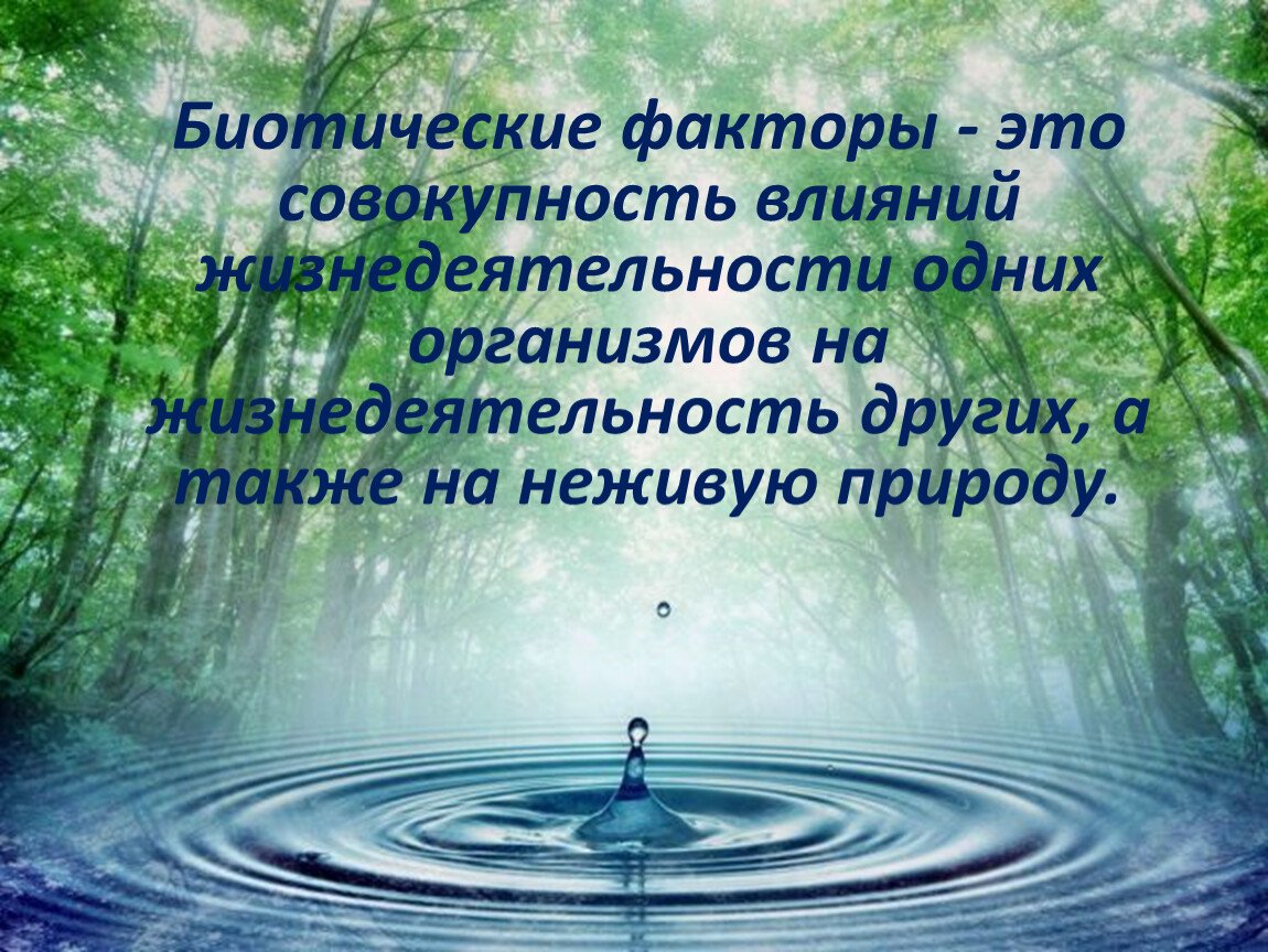 Всемирный день мониторинга воды