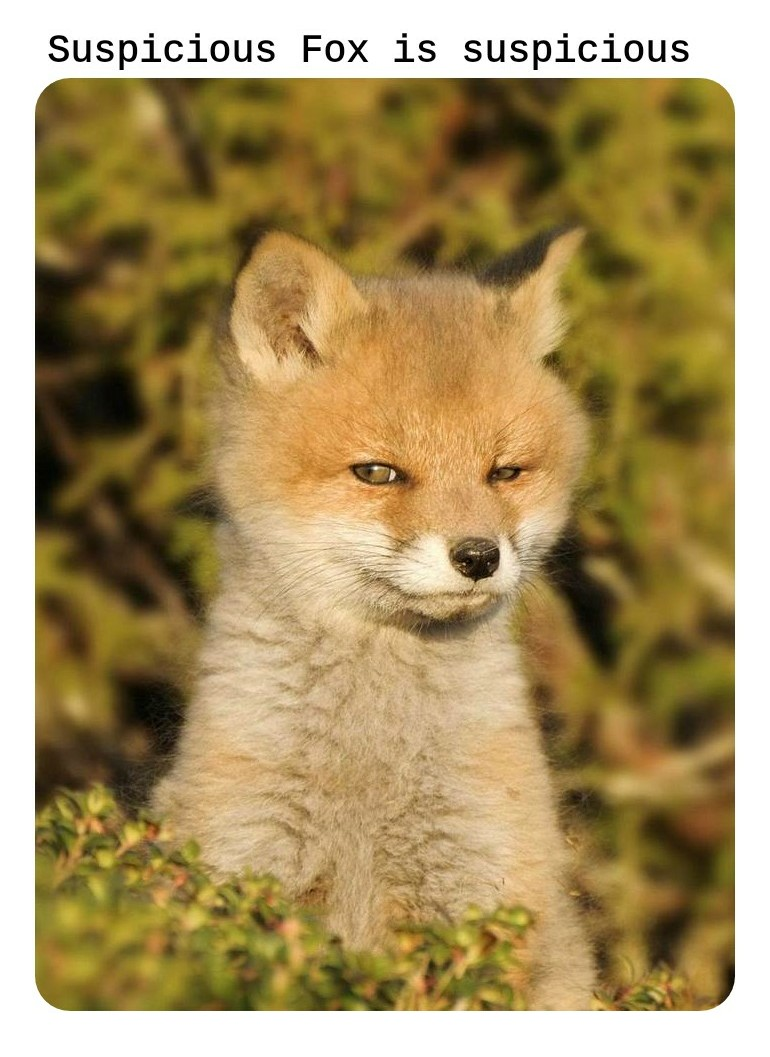 А не Колобок ли ты часом