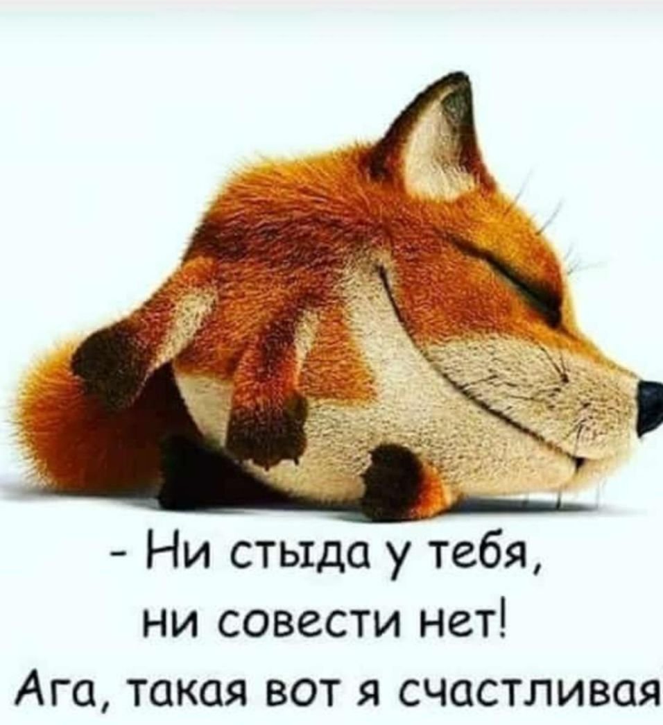 Красивая лиса