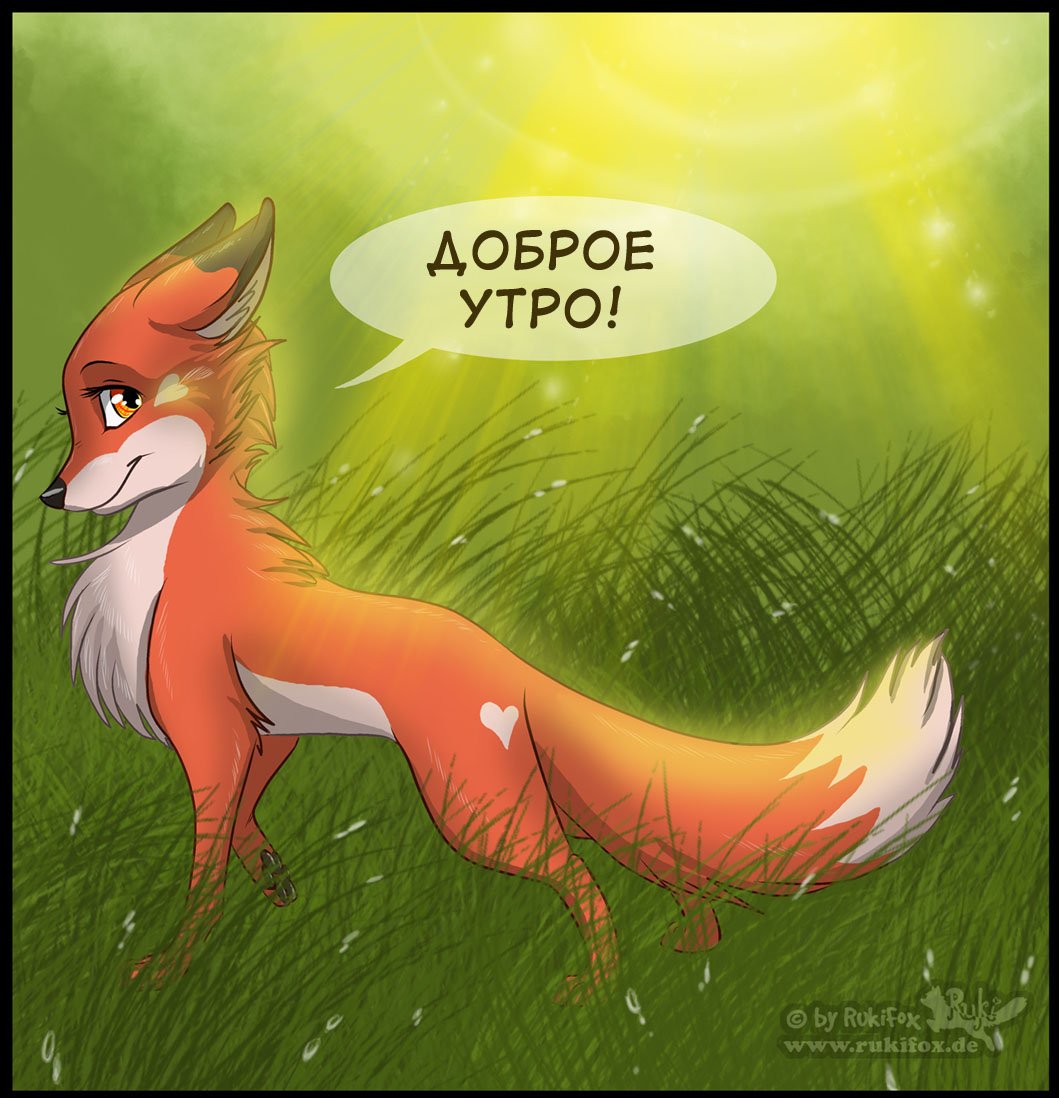 Комиксы белка ши