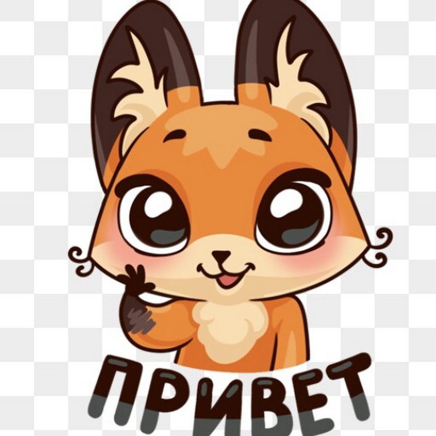 Обложка на паспорт гражданин Фыр Фыр