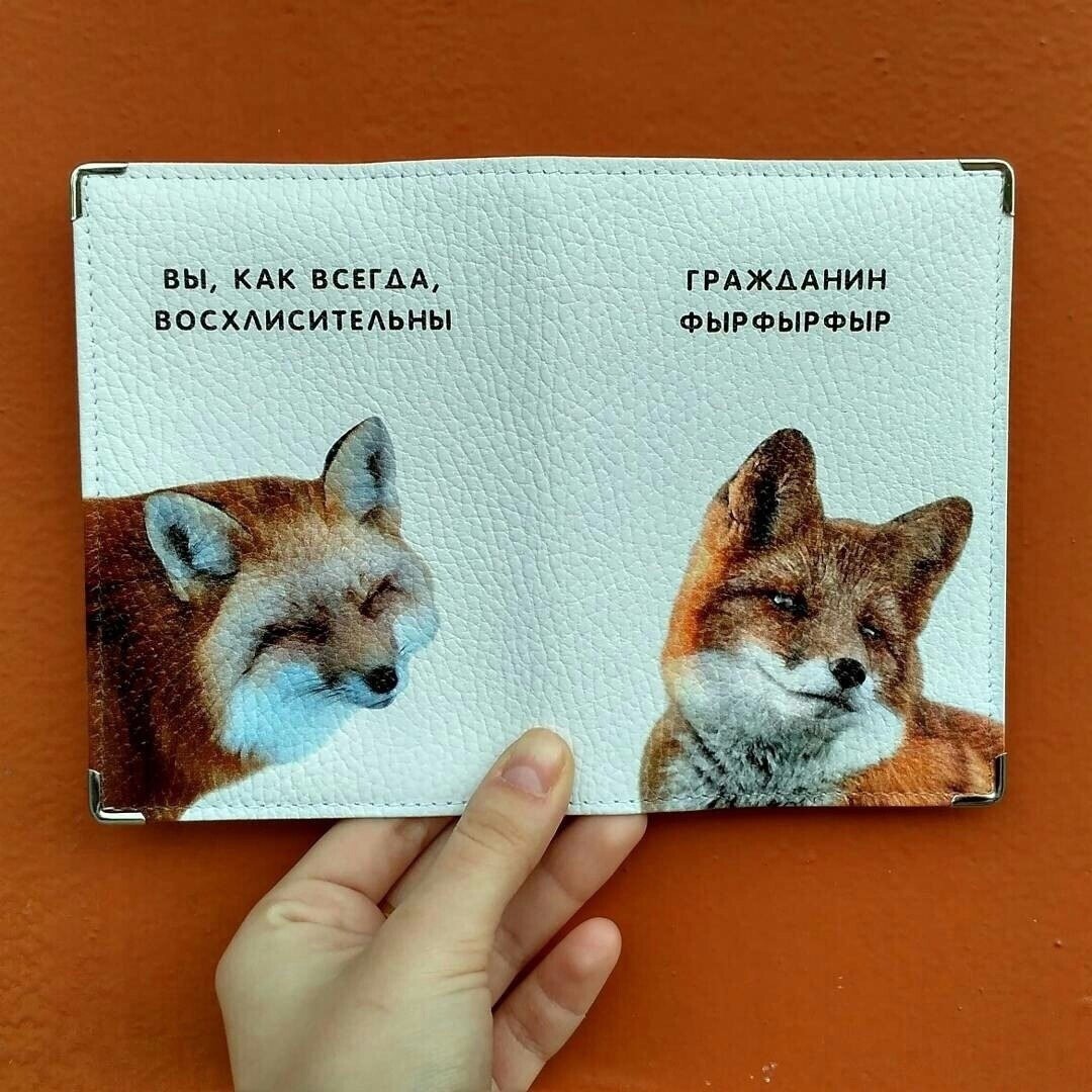 Цитата дня смешная