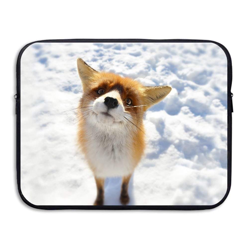 Лисенок я тебя люблю