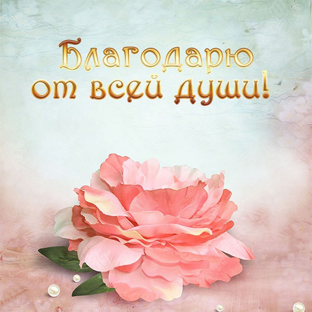 Спасибо от души