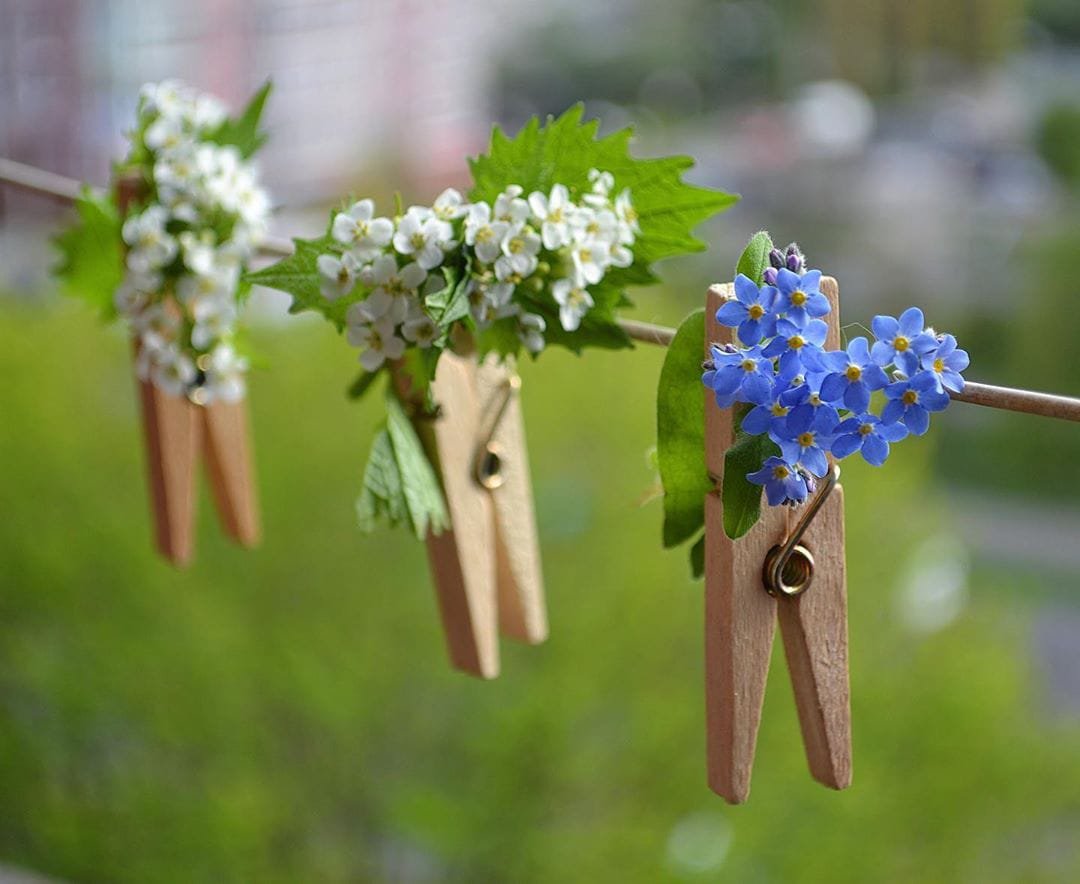 Открытки пусть сегодня пахнет счастьем