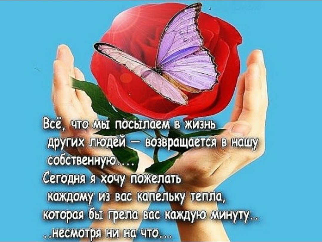 Цитата это твоя жизнь