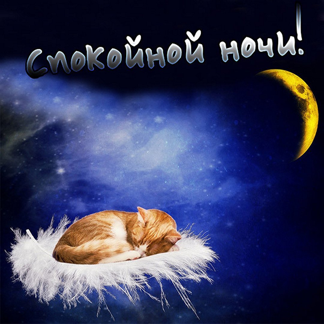 Пожелания спокойной ночи