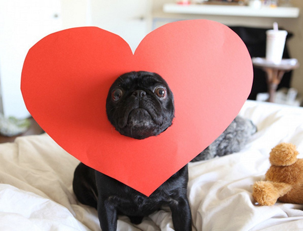 Прикольные сердечки