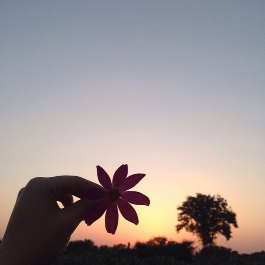 Старайтесь жить без злобы и без зависти