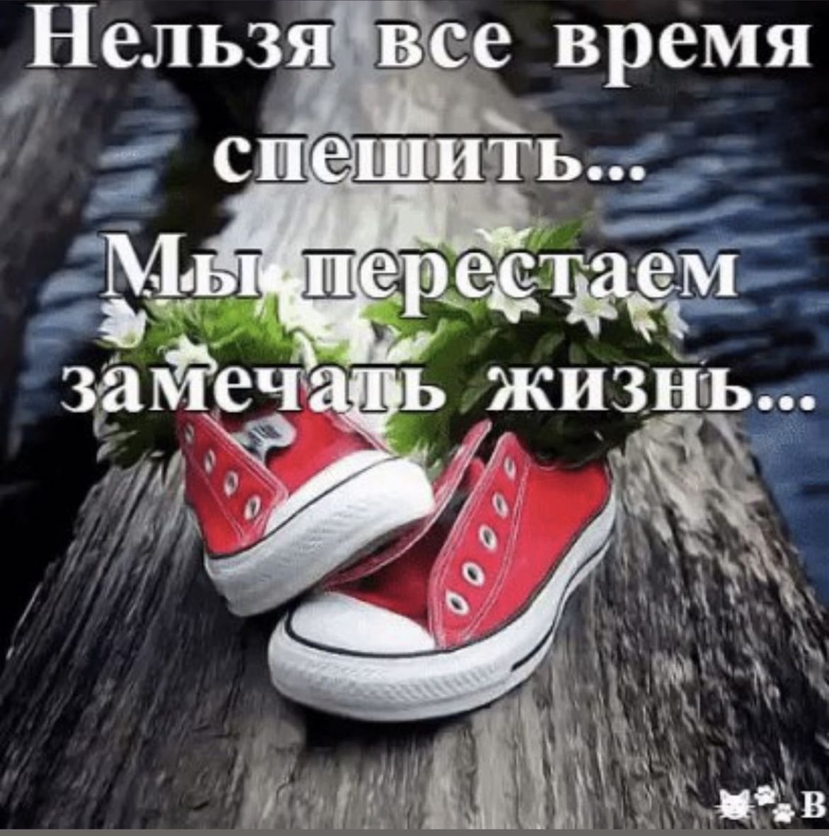 Жить для себя цитаты