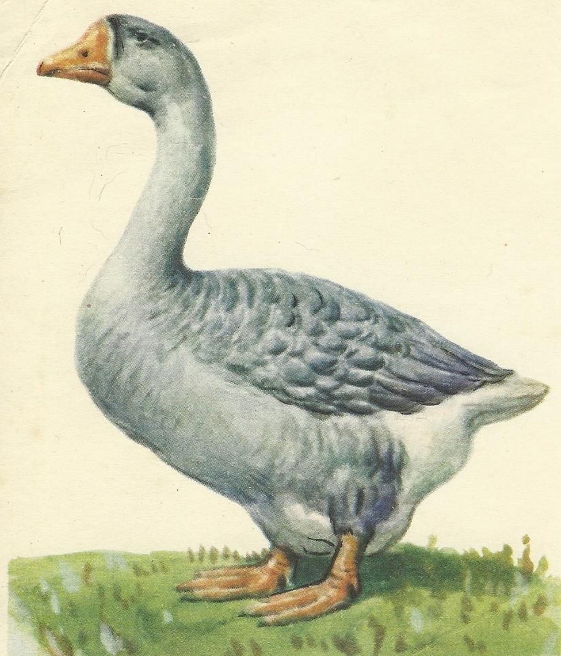 Картина гуси