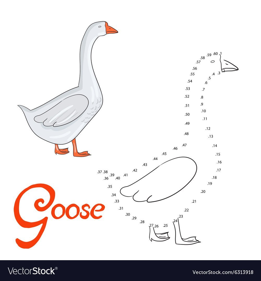 Поэтапное рисование гуся
