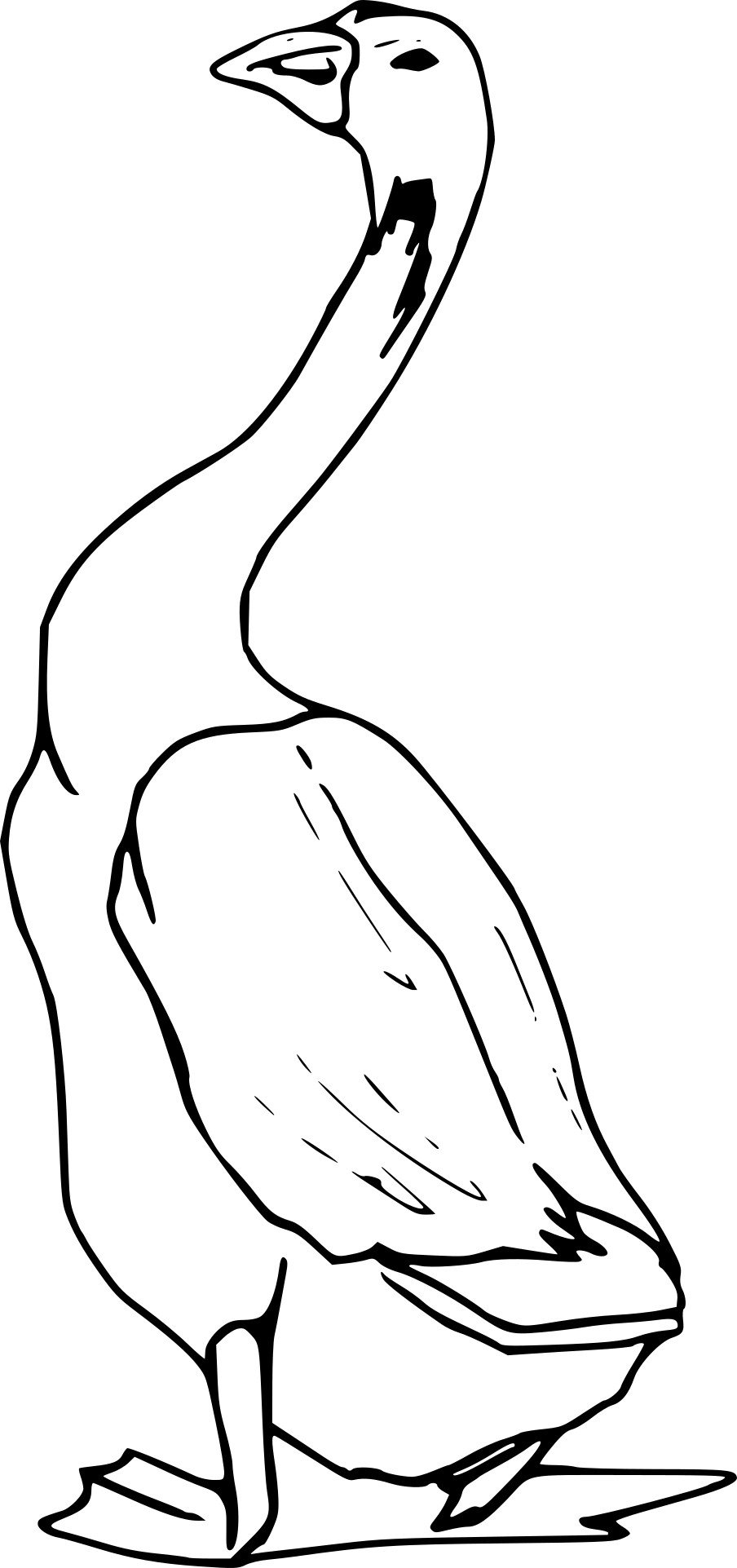 Гусь контур